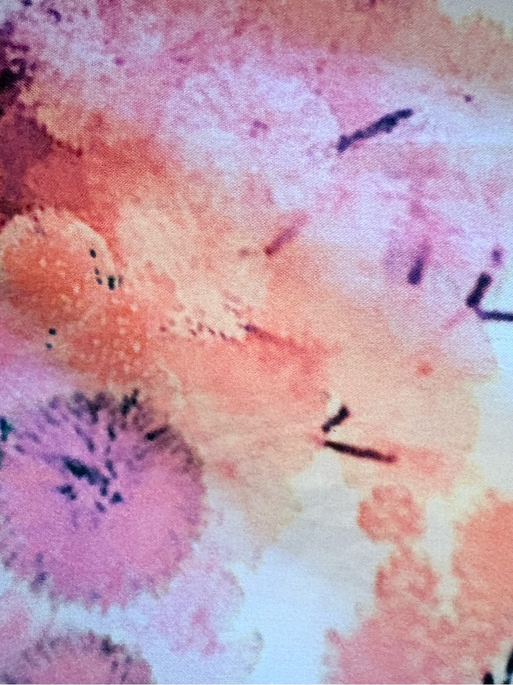 NWT Thierry Colson France Venetia Dress
Garden of Eden Pink Floral Size Small S - Picture 16 of 16